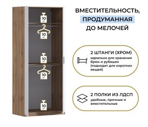 Шкаф двухдверный Макс 1000 мм, вариант №4 (ЛДСП, корпус дуб вотан)